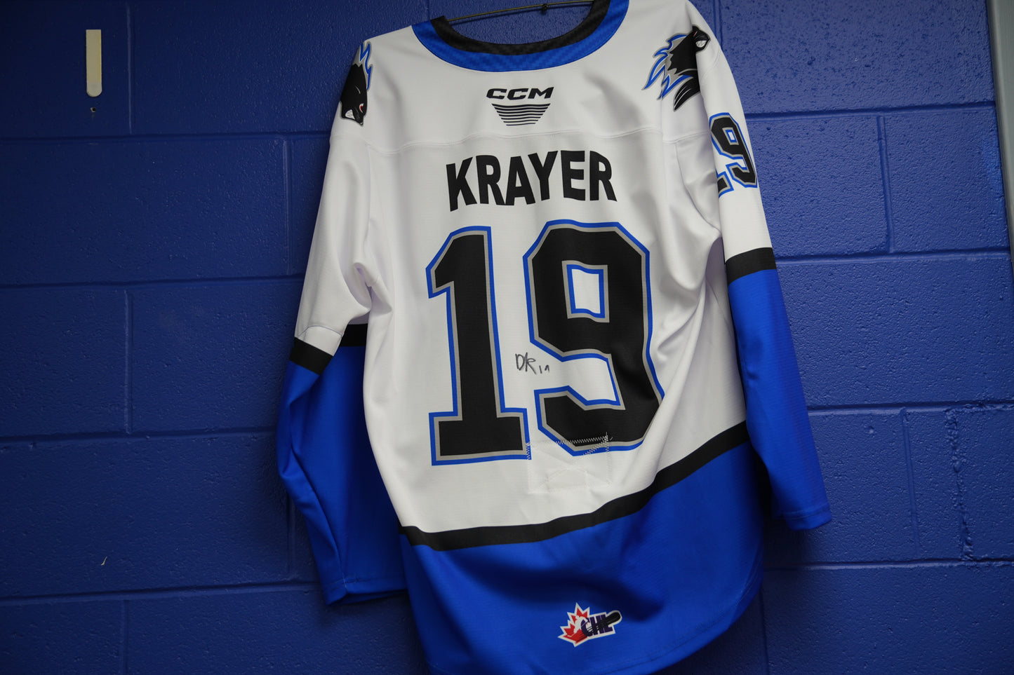 Game-Worn Jersey: #19 Krayer (Coach Chippy)