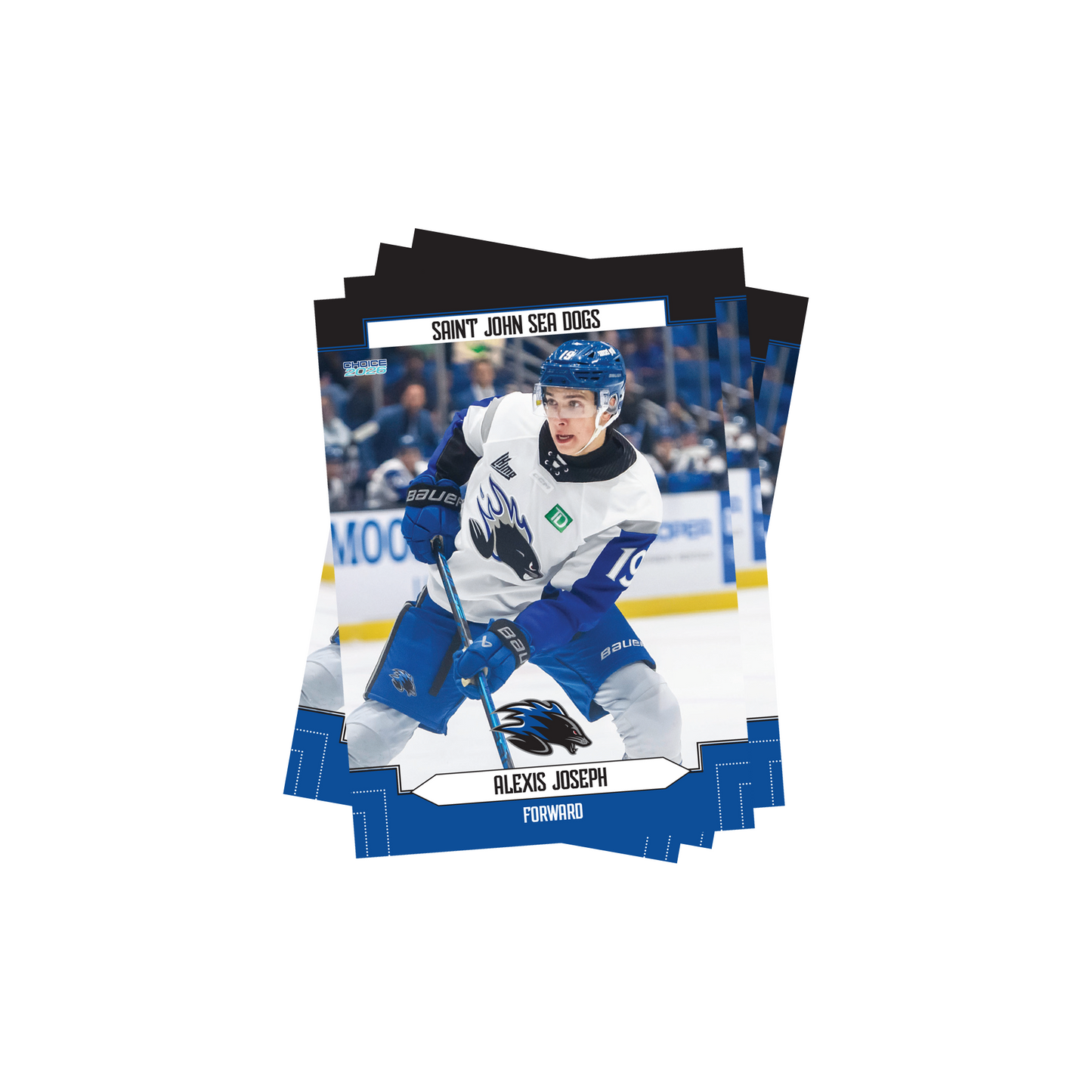2025-26 Hockey Cards - Team Set