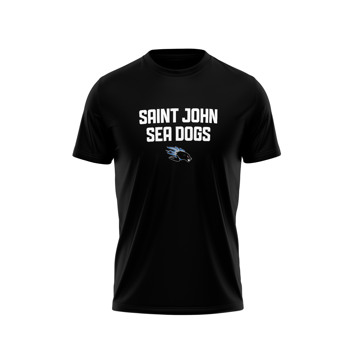 SJSD T-Shirt (Black) - Youth