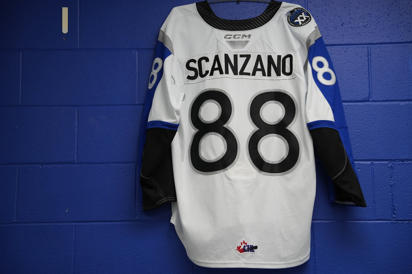 Game-Worn Jersey: #88 Cruz Scanzano (White)