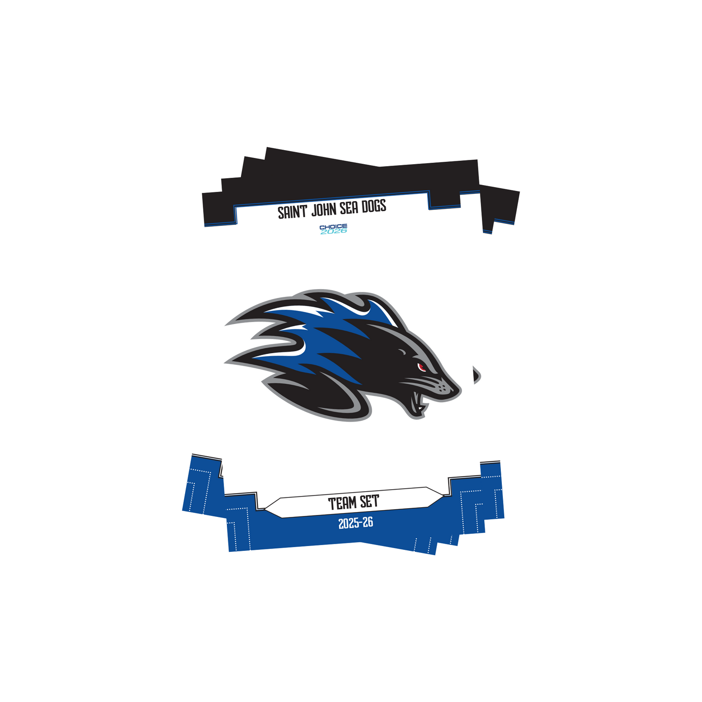 2025-26 Hockey Cards - Team Set