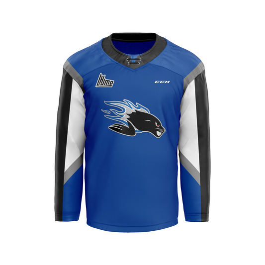 Adult Replica Jersey (Blue)