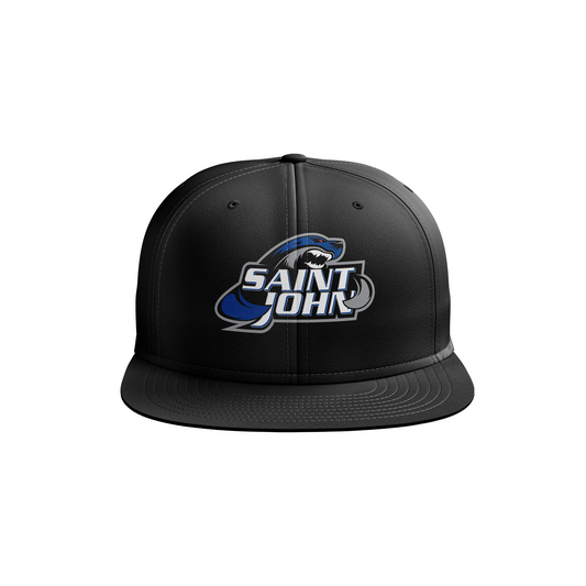 Third Logo Snapback